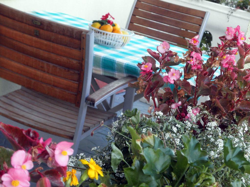 Apartmani Delfin Grebaštica Dış mekan fotoğraf